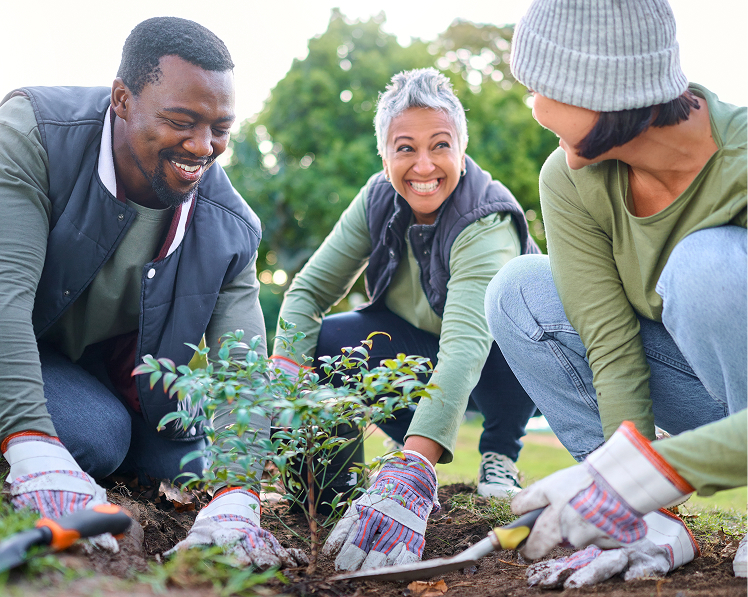 Volunteers gardening together.